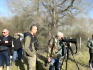 photo Les gravières, des zones humides d'intérêt