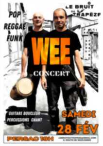 photo Wee en concert pop raggae funk