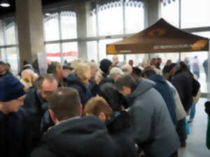 photo MARCHÉ AUX TRUFFES