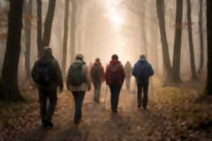 photo Randonnée pédestre du Comité des Fêtes - Gièvres