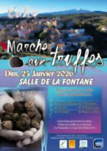 photo MARCHÉ AUX TRUFFES