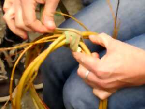 photo Atelier famille : vannerie