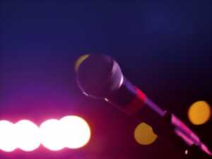 photo Concert - Des chansons plein la tête