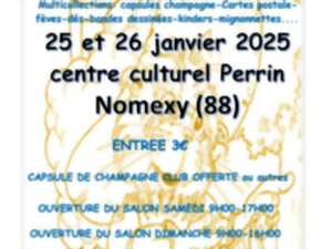 photo salon  annuel des collectionneurs