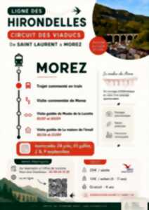photo Excursion sur la Ligne des Hirondelles : 