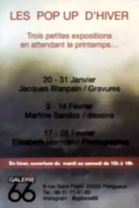 photo Exposition des oeuvres de Martine Sandoz