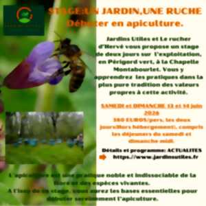 photo Stage Apiculture en Périgord