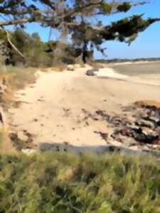 photo Promenade-découverte nature de la pointe nord du havre de la Vanlée