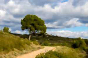 photo BALADE POUR TOUS AUTOUR DE SOUMONT