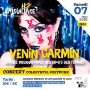 photo Concert Venin Carmin