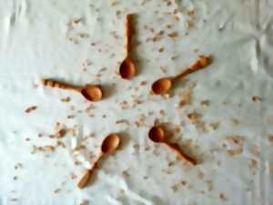 photo Ma petite cuillère en bois