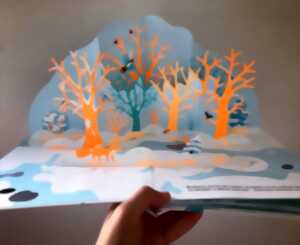 photo Librairie Chantepages : Atelier pop-up avec Virginie