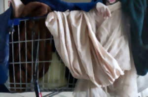 photo Spectacle | La clairvoyance des folles