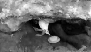 photo Les jeudis du musée - Le Docteur Jean Gaussen, un homme chanceux