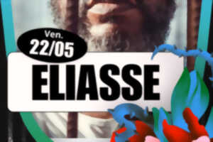 photo Concert | Eliasse