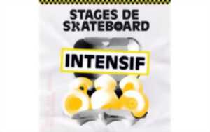 photo SKAB school - Stage skateboard intensif