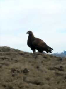 photo Sous les ailes des montagnes