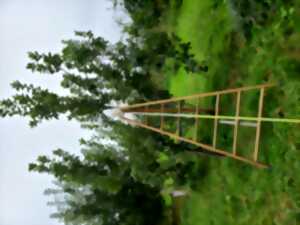 photo Créer un verger-forêt nourricier et l'entretenir