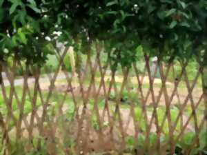 photo Je crée des structures vivantes en osier pour mon jardin