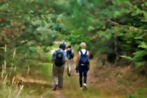 photo Marche printanière