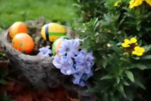 photo Chasse aux oeufs - rallye photo