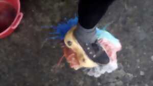 photo Exposition PARCC : 