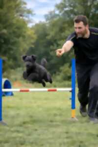 photo Concours d'Agility