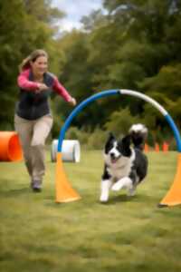 photo Concours de Hoopers