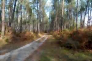 photo Randonnée pédestre