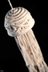 photo Atelier macramé