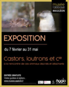 photo Musée L'Abbaye - Exposition: Castors, loutrons & cie