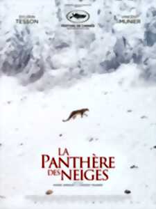 photo La Panthère des neiges