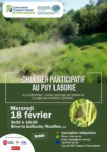 photo Chantier participatif au Puy Laborie