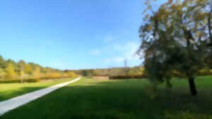 photo Sortie nature à Vauclair : 