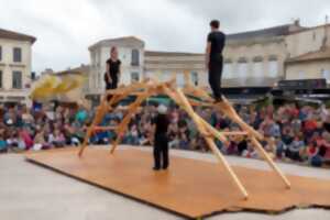 photo 128 kilos de mélèze