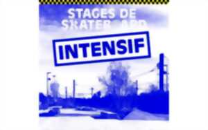 photo SKAB school - Stage skateboard intensif