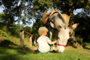 photo J'apprends à m'occuper de mon âne