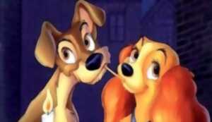 photo Tous au ciné ! - la belle et le clochard