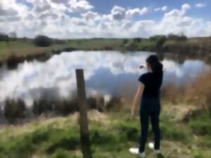 photo Visite du Littoral Berniérais