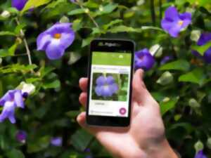 photo L'ABC DU HAUT-MINERVOIS - CONFERENCE SUR LA FLORE