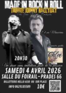 photo MADE IN ROCK N ROLL