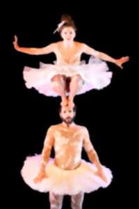 photo Cirque chorégraphié : Le Lac des Cygnes de la compagnie L'Eolienne