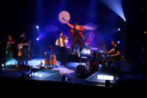 photo Concert : Une balançoire sur la lune de M. Ribouldingue