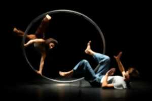 photo Cirque : In difference de Jef Everaert et Marica Marinoni