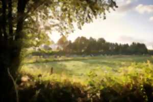 photo Randonnée pédestre de la Sée