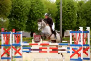 photo Concours de Saut d'Obstacles Amateurs et pros