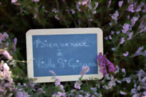 photo Soirée grillades