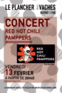 photo Concert Red Hot Chili Pampers