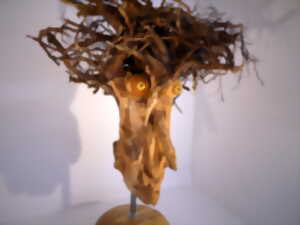 photo Exposition - Jean Deletre et Dom B