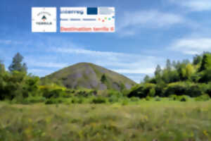 photo Terrils du Pays à Part - Chantier nature